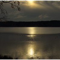 *** :: Aleksandr Gal *** :: Aleksandr Gal