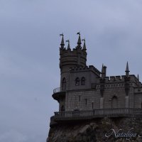 Природа Крыма :: Amazing Cosmea