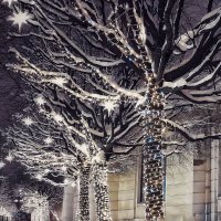 НГ :: Виктория Поликарпова