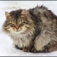 *** :: Александр 