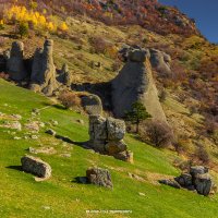 СОЛНЕЧНАЯ ПОЛЯНА :: Sergey Bagach