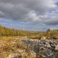 **** :: Алексей Соловьев