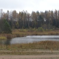 Иногда хочется гулять по лесу :: Anna-Sabina Anna-Sabina