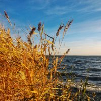 Снова осень :: Hope 