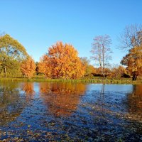 До свидания осень! :: Лия ☼