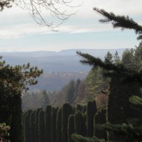 Вид из Кисловодского национального парка. :: Александр Николаев