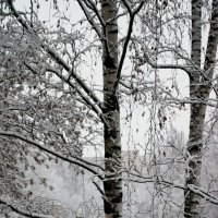 Ноябрь из окна :: Наталья Герасимова