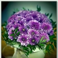 Букет хризантем :: Ольга Довженко