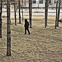 Последнее утро ноября-25! :: Владимир