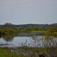 МИХАЙЛОВСКОЕ. :: Виктор Осипчук