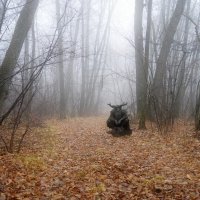 Там, на неведомых дорожках.... :: Андрей Заломленков