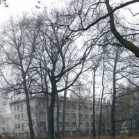 *** :: Валентина Береснева