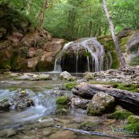 Природа Крыма :: Amazing Cosmea
