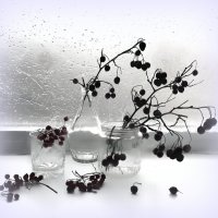 Сказала Осень на прощание :  « Я Вас Любила. До свидания ... » :: TAMARA КАДАНОВА