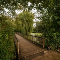 К мостику... :: Николай Гирш