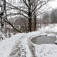 Смоленская область в конце ноября. :: Милешкин Владимир Алексеевич 