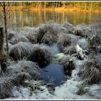 *** :: Aleksandr Gal