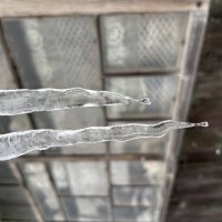 Сосульки :: Ольга Савельева 