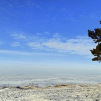 На берегу Обского моря . Зима . :: Мила Бовкун
