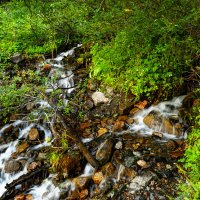 ГОРНЫЕ РУЧЬИ :: HART BAD