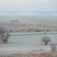 Морозное  утро ноябрьской поры… над полем – рассветная пудра... :: Надежда Куркина 