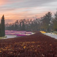 *** :: Игорь Протасов