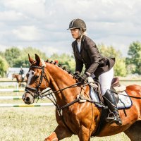 Конкур :: SanSan 