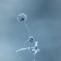 рано утром... :: Андрей Пристяжнюк