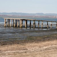 Мостки :: # fotooxota Мостки :: # fotooxota