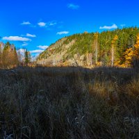 Утро солнечного октября. :: Юрий кот