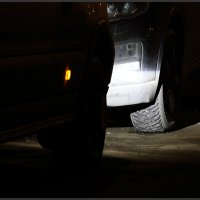 Кто рано встает... :: Сергей Премонишын