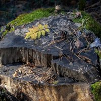 Фрагменты Осени 1/5 :: Barguzin_45 Иваныч