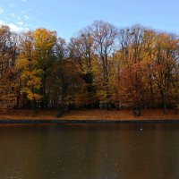 Зоологический пруд :: Сергей Карачин Зоологический пруд :: Сергей Карачин