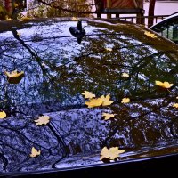 Осень 68 :: Алексей Кузнецов