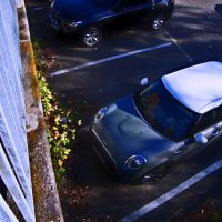 Осень 70 :: Алексей Кузнецов