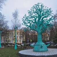 Памятник "Древо университета" :: Татьяна Машошина
