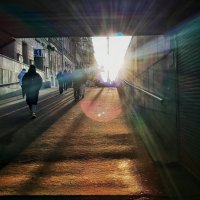 Невский проспект :: Виктория Поликарпова