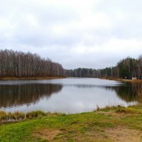 Природа Смоленщины за два дня до календарной зимы. :: Милешкин Владимир Алексеевич 