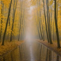 Осень :: Aleksey Afonin