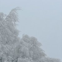 Уголок в горах :: Георгиевич