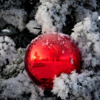 Просто шарик новогодний. :: nadyasilyuk Вознюк