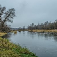 Москва река. :: Николай