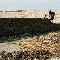 Строительство из глины :: Сергей Золотавин