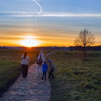 Вечерняя прогулка :: Сергей Цветков