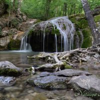 Природа Крыма :: Amazing Cosmea Природа Крыма :: Amazing Cosmea