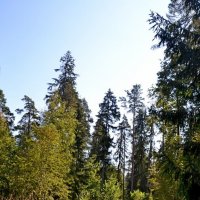 МИХЙЛОВКОЕ. :: Виктор Осипчук