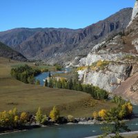 *** :: владимир 