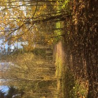 В парке :: Ольга Савельева В парке :: Ольга Савельева