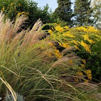 Адлер... ноябрь... :: Нина Бутко