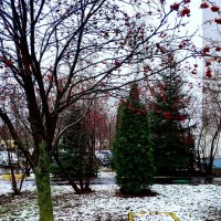 Осень/Зима :: Василий Палий